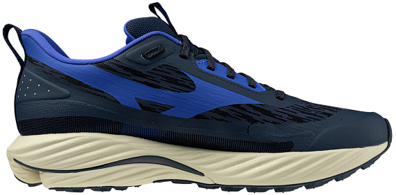 Кроссовки мужские MIZUNO WAVE RIDER TT3