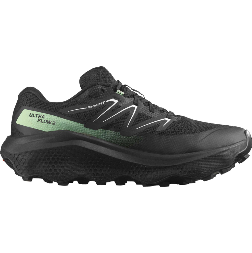 Кроссовки мужские Salomon Ultra Flow 2GTX
