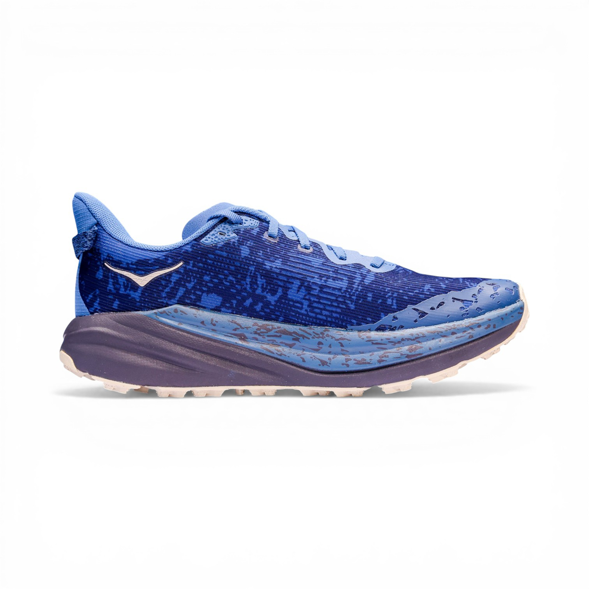 Кроссовки мужские HOKA ONE ONE Speedgoat 6 GTX 
