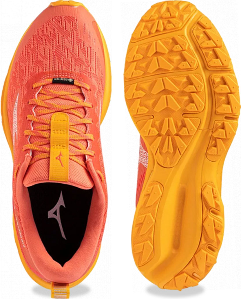 Кроссовки мужские MIZUNO WAVE RIDER GTX