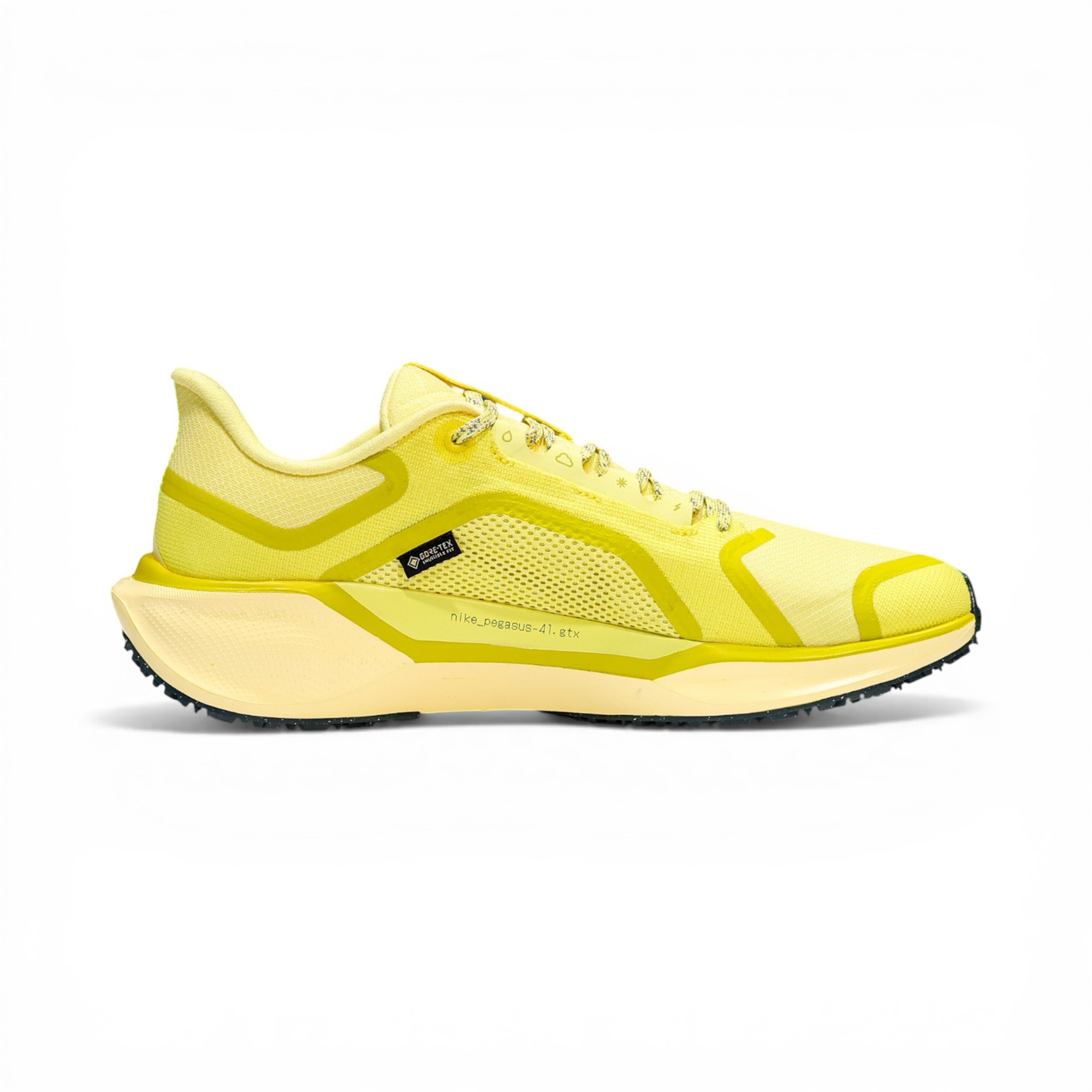 Кроссовки мужские NIKE PEGASUS 41 GTX