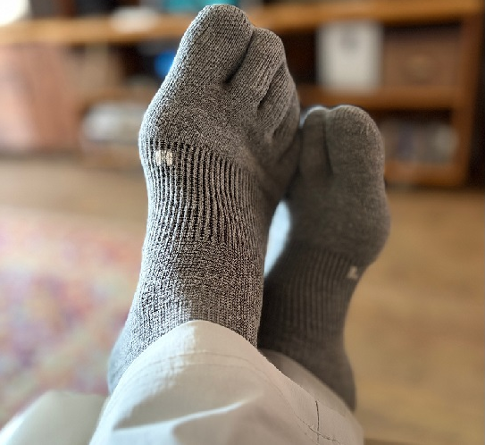Носки Rexy DAILY CUSHIONING TOE 