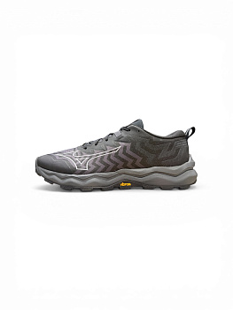 Кроссовки женские MIZUNO WAVE DAICHI 8 GTX