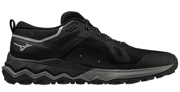 Кроссовки мужские MIZUNO WAVE IBUKI 4 GTX